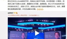 新东方领导最新爆料,企业转型背后的故事与挑战