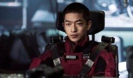 今日爆料屈楚萧,今日爆料揭露惊人内幕